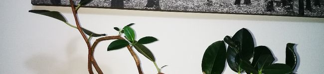 poti134's header image