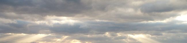 いなばっち's header image