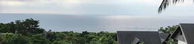 916banana's header image
