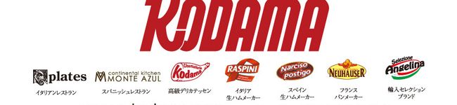株式会社コダマ's header image