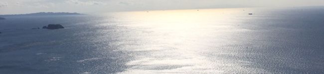 めぐたん82's header image