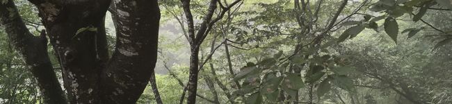 SK15's header image