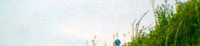 ﾐｷﾃｨ4649's header image