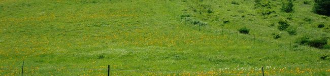RAN0417's header image