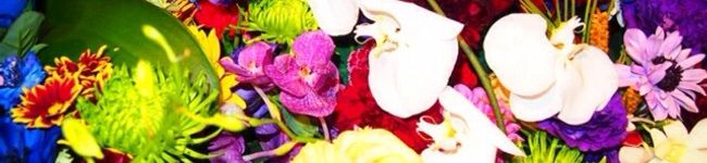 千明姫's header image
