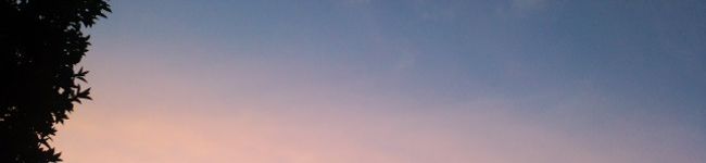 taylor76's header image
