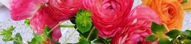 ｎａｏｋｏ０４０３'s header image