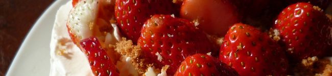 yoshi母's header image