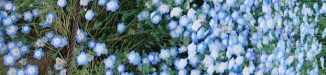 ズボラ主婦EX's header image