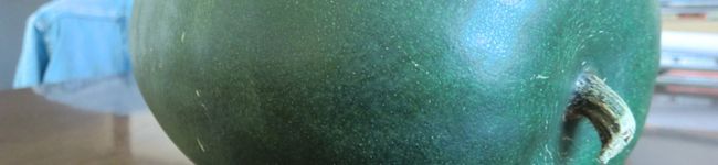 化学屋's header image