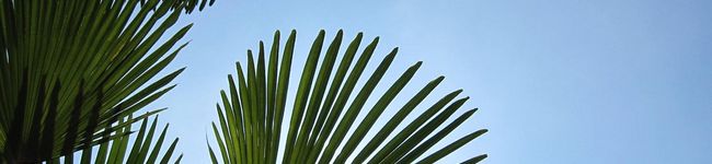 caramelun's header image