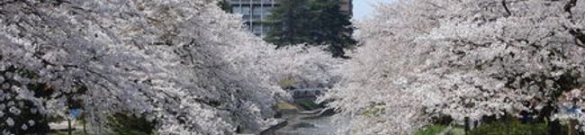 akibell's header image