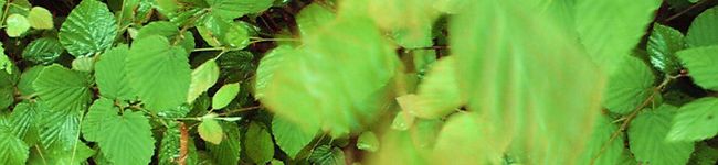 ヒトミ0303's header image