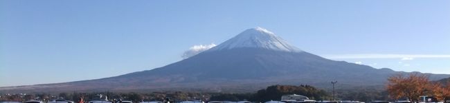 クロダイつれたジョ's header image