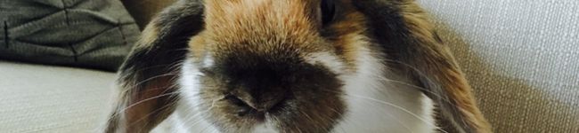 HiroMK's header image