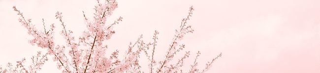 maikmy's header image
