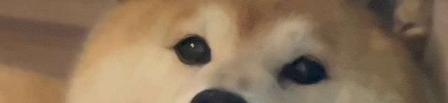 TEKIGI's header image
