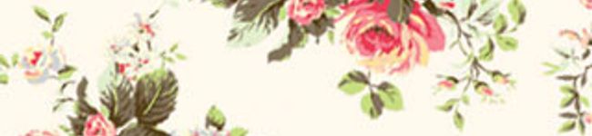 kylinちゃん's header image