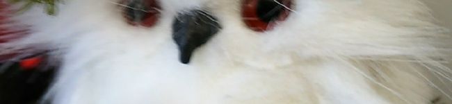 noriayu's header image
