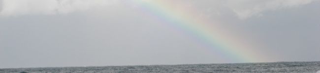りょうたんちゃん's header image