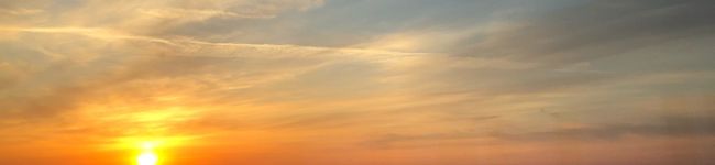 おもちー0710's header image