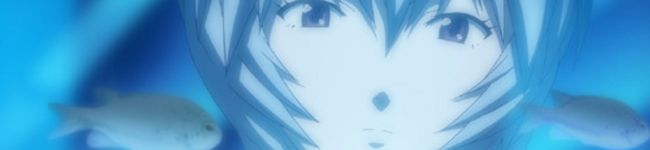 ◎もちまる's header image