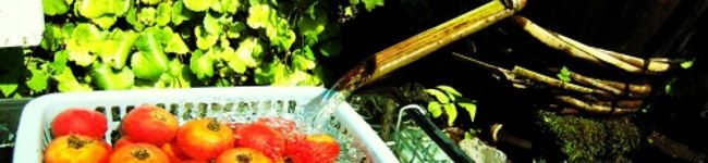 asukaauska's header image