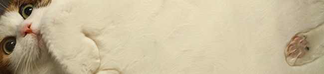 め-い's header image