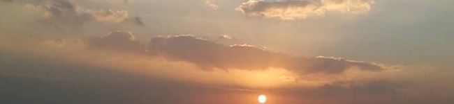 ピンクlotus's header image