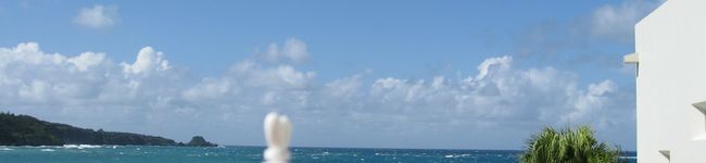 Q☆rere's header image