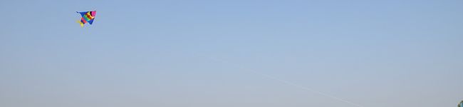 アッコリ's header image