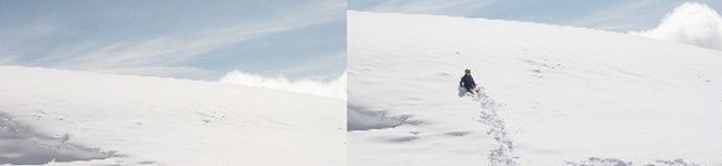 greenmango's header image