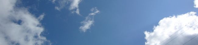 ゆりぽん♪'s header image