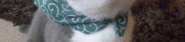 希（のぞむ）'s header image