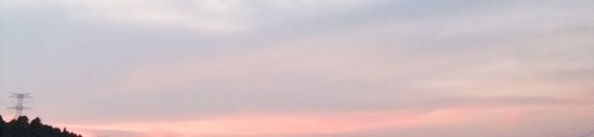 amacan21's header image