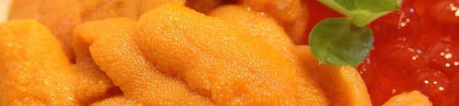 ラディ料理長's header image