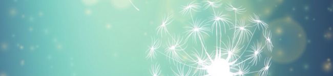 チエコ☆'s header image