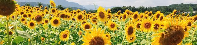 み〜ぱん's header image