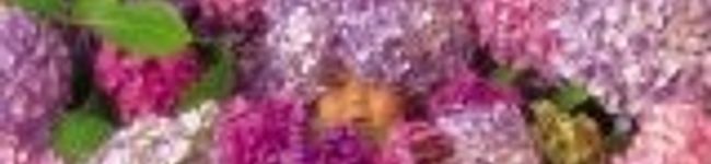 kame3's header image