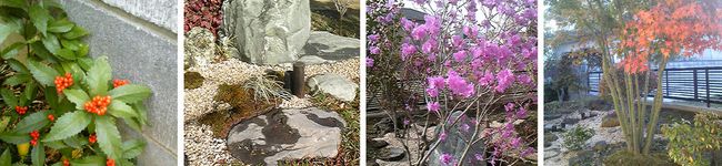 PBgardener's header image