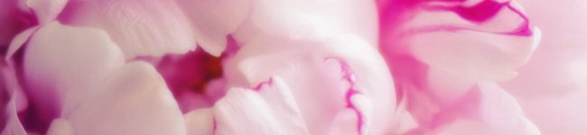 florialia's header image