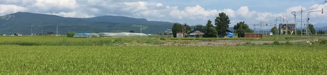 うさうさ888's header image