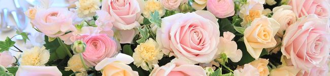 momotana's header image