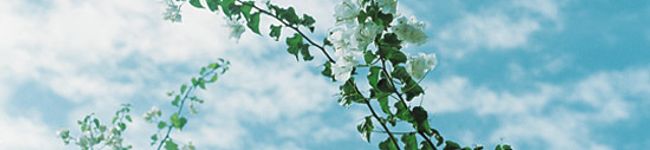 うんばばー's header image