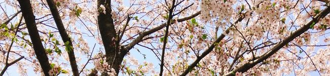 みさおさん♡'s header image