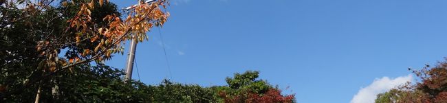 かりんママっち's header image
