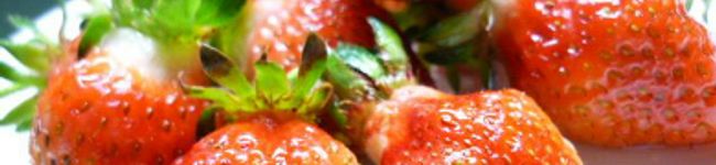 ｎｅｃｏ。's header image