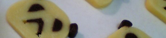pumi's header image