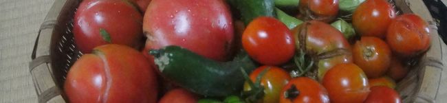 LunaBaker's header image