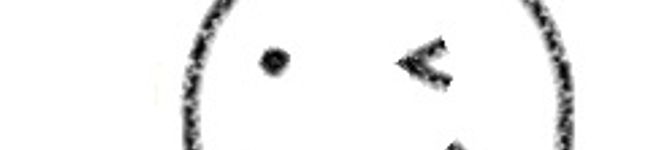 mrikko's header image